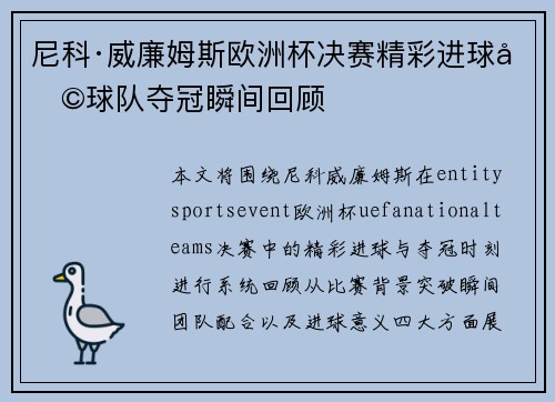 尼科·威廉姆斯欧洲杯决赛精彩进球助球队夺冠瞬间回顾