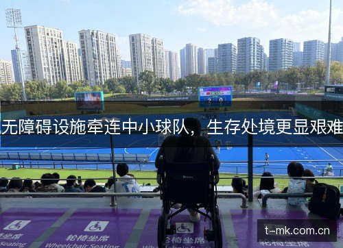 无障碍设施牵连中小球队，生存处境更显艰难